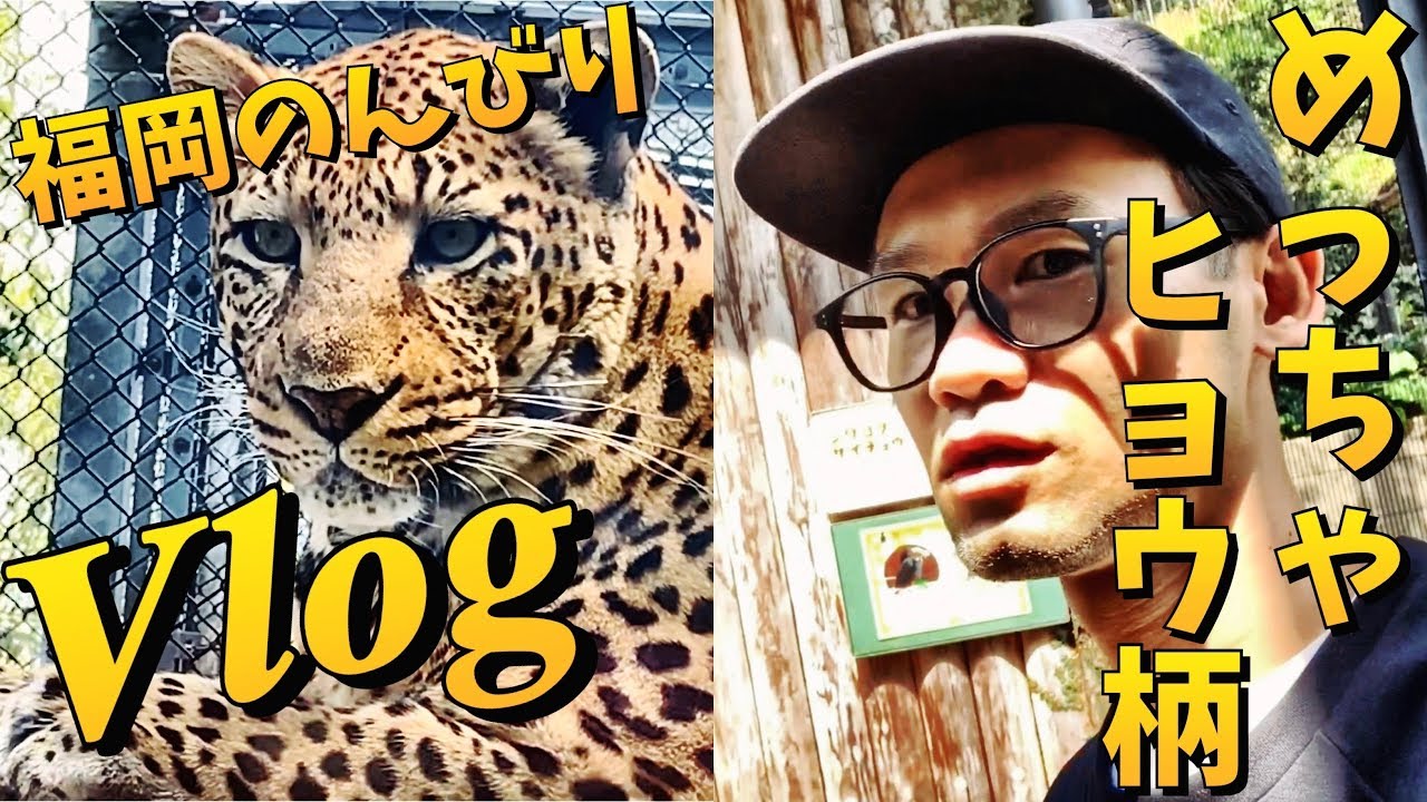 のんびり デート 山口 のんびり デート 山口