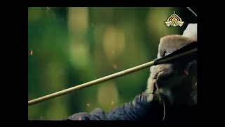 Ertugrul ghazi glimpses season 1 | ertugrul whatsapp status