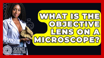 What Is The Objective Lens On A Microscope? - Science Through Time