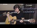 Сплин - Волшебная скрипка(cover by Свой Своим)