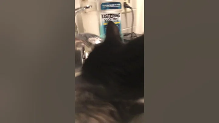 I DRINK !!! YOU WASH !!!