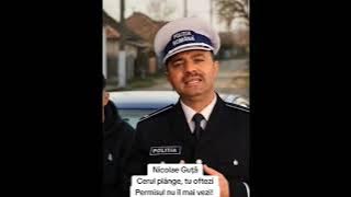Nicolae Guță - Cerul plânge tu oftezi, permisul nu îl mai vezi 
