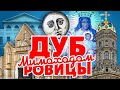 ДУБРОВИЦЫ. Мимоходом