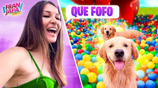 MEUS CACHORROS EM UMA PISCINA DE BOLINHAS - Fran Japa