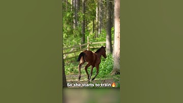 The foal already start training rening stops⭐️ #foal #reining #horse #shorts