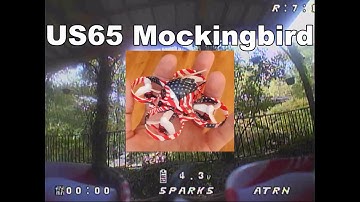 US65 Mockingbird Testing Setup