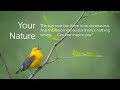 Your nature