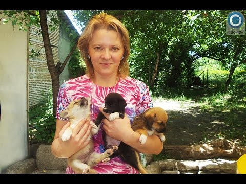 „გიჟიაო ჩემზე იძახიან, რადგან მაწანწალა ძაღლებს ვუვლი“ – მატილდა მირზოევა