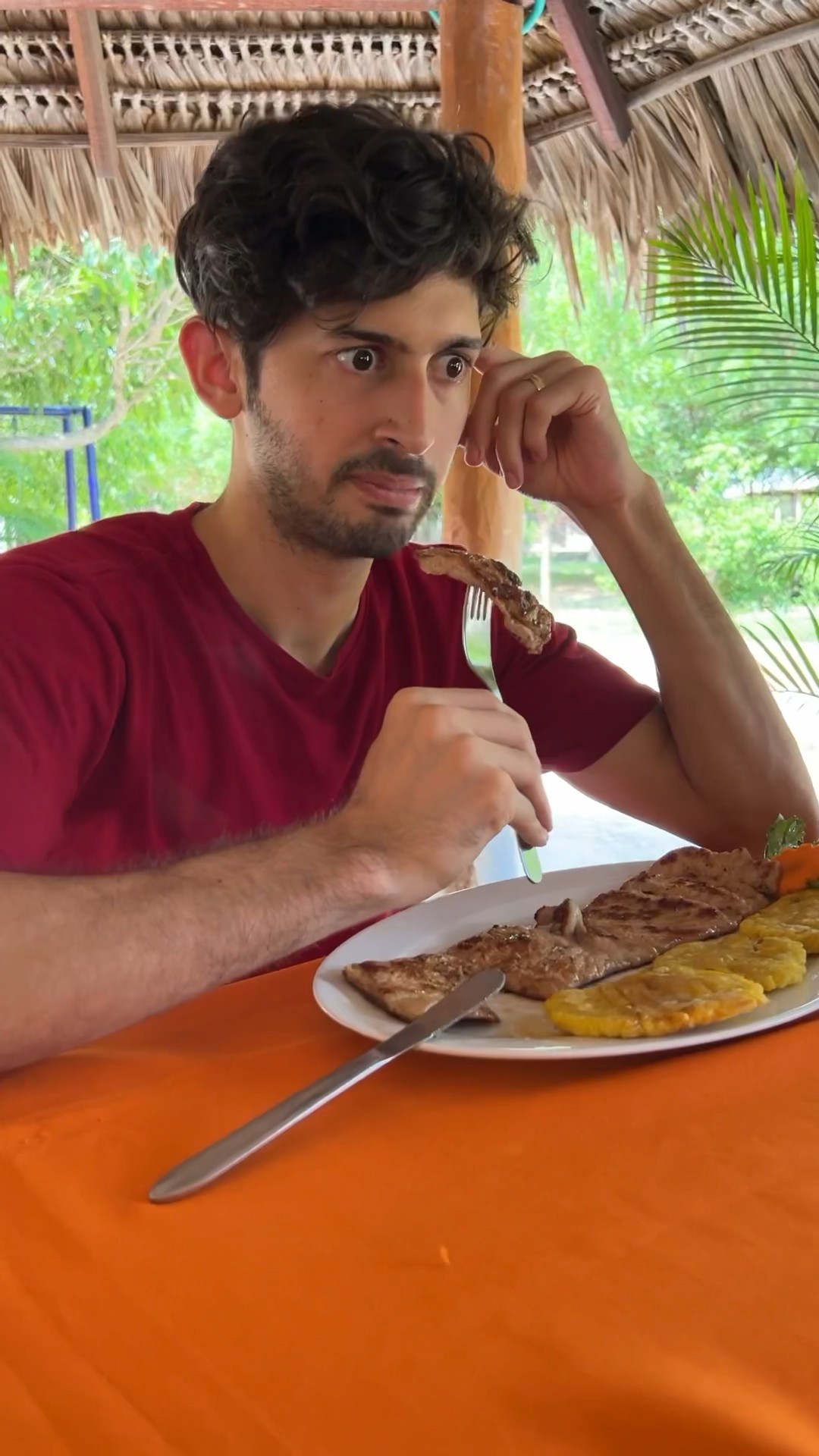 El almuerzo familiar ?