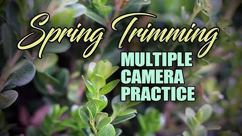 ADDING B-ROLL to your VIDEOS