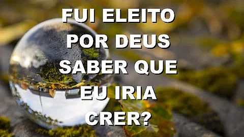 Foi eleita ou foi elegida?