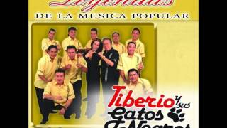 Tiberio Y Sus Gatos Negros - Grabada En Mi Piel chords