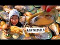 Eating RAW MUSSELS + New Zealand's OLDEST pub South Island, New Zealand | New Zealand FOOD TOUR