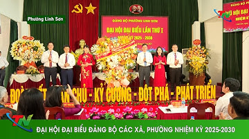 Đại hội đại biểu Đảng bộ các xã, phường nhiệm kỳ 2025-2030