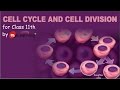 CELL CYCLE AND CELL DIVISION - 01 For Class 11th and AIPMT