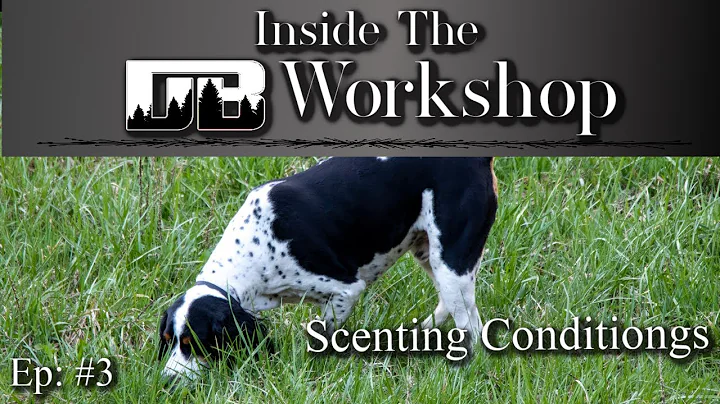 Dog Scenting Conditions and Clues | Ep: #3