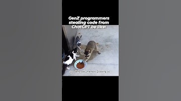 coding memes,Anyone can relate ,devoloper memes #bug #codinglife #codingbasics #funnyvideo
