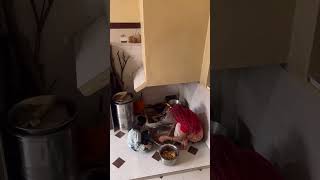 What is this hover while making sweets. #cctv #reels #trending
