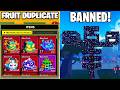 Blox Fruits Update 26 BANNED Glitches