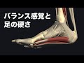 足の柔軟性がなぜバランスで大事か解説してみた
