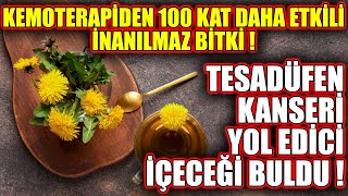 Bilim adamları, sadece 48 saat içinde kanser hücrelerinin %98’ini öldürebilecekleri kök keşfetti !