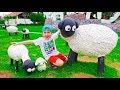 Eli helps little Sheep to find Mommy