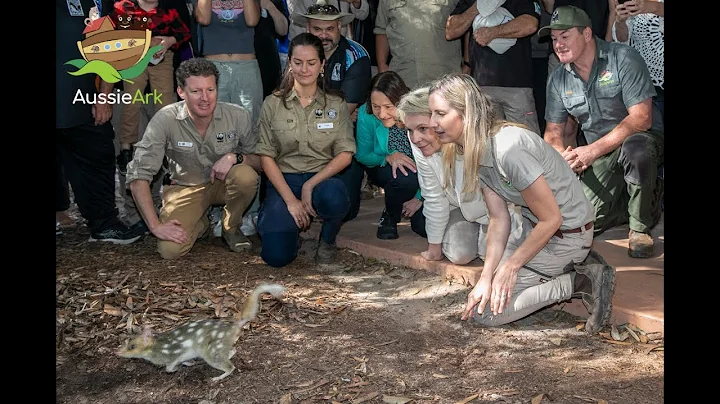 MISSION ACCOMPLISHED! EASTERN QUOLLS REWILDED IN BOODEREE NATIONAL PARK!