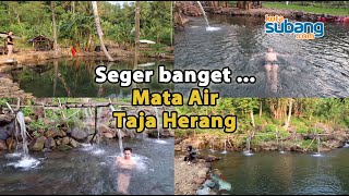 Segarnya....., Mata Air Taja Herang, Jalancagak (Wisata Subang)