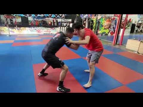Takedowns for BJJ: #wrestling #bjj #jiujitsu #technique #selfdefense #mma #nogi #bushido 🌪🤼‍♂️