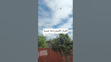 القرآن الكريم راحة نفسية #duet #quran #اكسبلور #يوم_الجمعة #صلاة_الجمعة #لايك