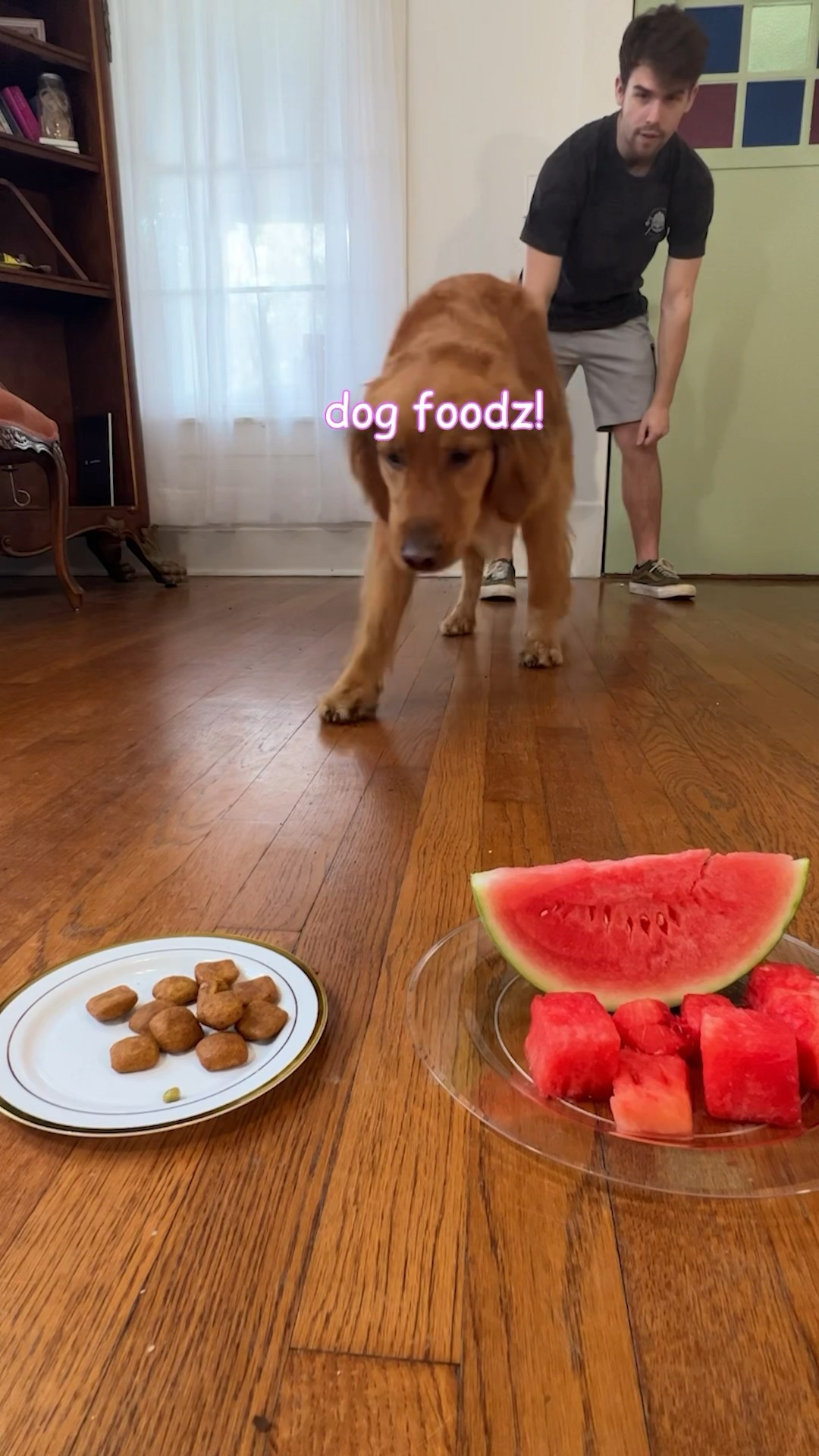 Human Food vs Dog Food with Daisy