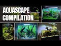 My top 10 best aquarium setups of all time