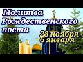 28 НОЯБРЯ - 6 ЯНВАРЯ МОЛИТВА РОЖДЕСТВЕНСКОГО ПОСТА Слушайте и передайте близким родным эту молитву