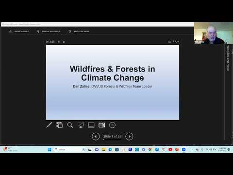 Wildfires & Forests in Climate Change