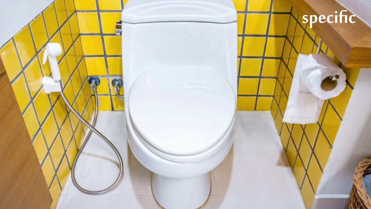 Ethiopia news today Ethiopians last in line for toilets,world Toilet Day 2018 YouTube