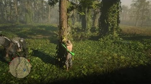 Red Dead Redemption 2 Online *SOLO* Drunken Player Interaction Glitch