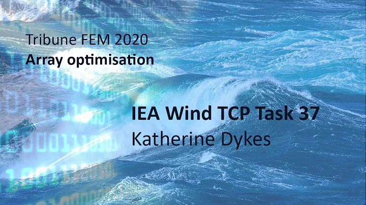 FEM Tribune - Array optimisation - Katherine Dykes
