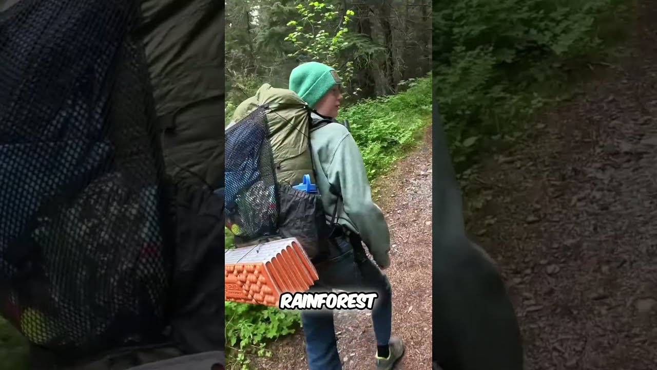 Outdoor Tom A Temperate Rainforest Walk