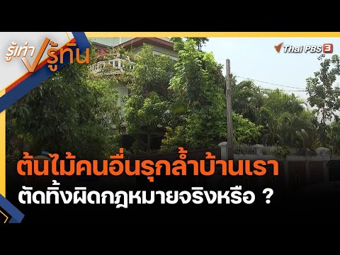 วีดีโอ: จะล้อมรั้วเพื่อนบ้านในประเทศด้วยต้นไม้ได้อย่างไร?