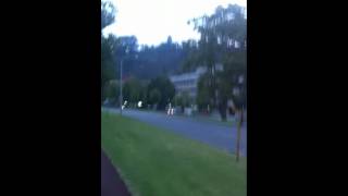 IMG 2943