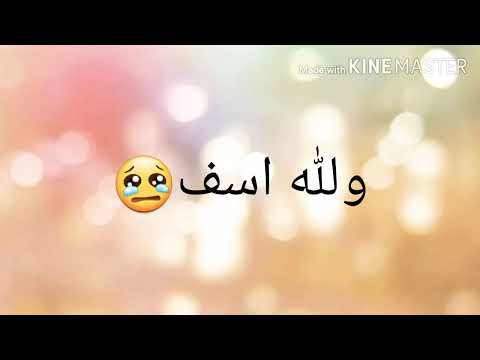 فيديو: عبارة لا تلومني - طلب اعتذار