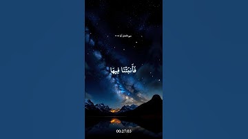 سورة لقمان 🌿 تلاوة خاشعة 🌿