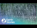 How does rain actually work  rain the untold story  earth stories