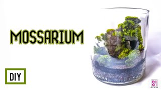 Como hacer un Mossarium   Tutorial de como hacer un terrario con musgos