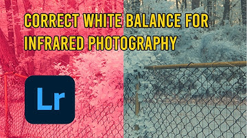 How To Create A Custom White Balance Profile For Infrared Photos In Adobe Lightroom