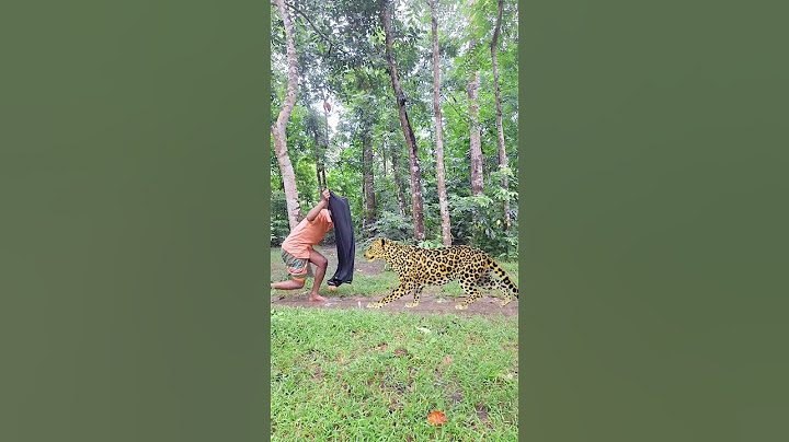 A leopard attack a boy jongol #wildlife #vfx #leopard #shorts