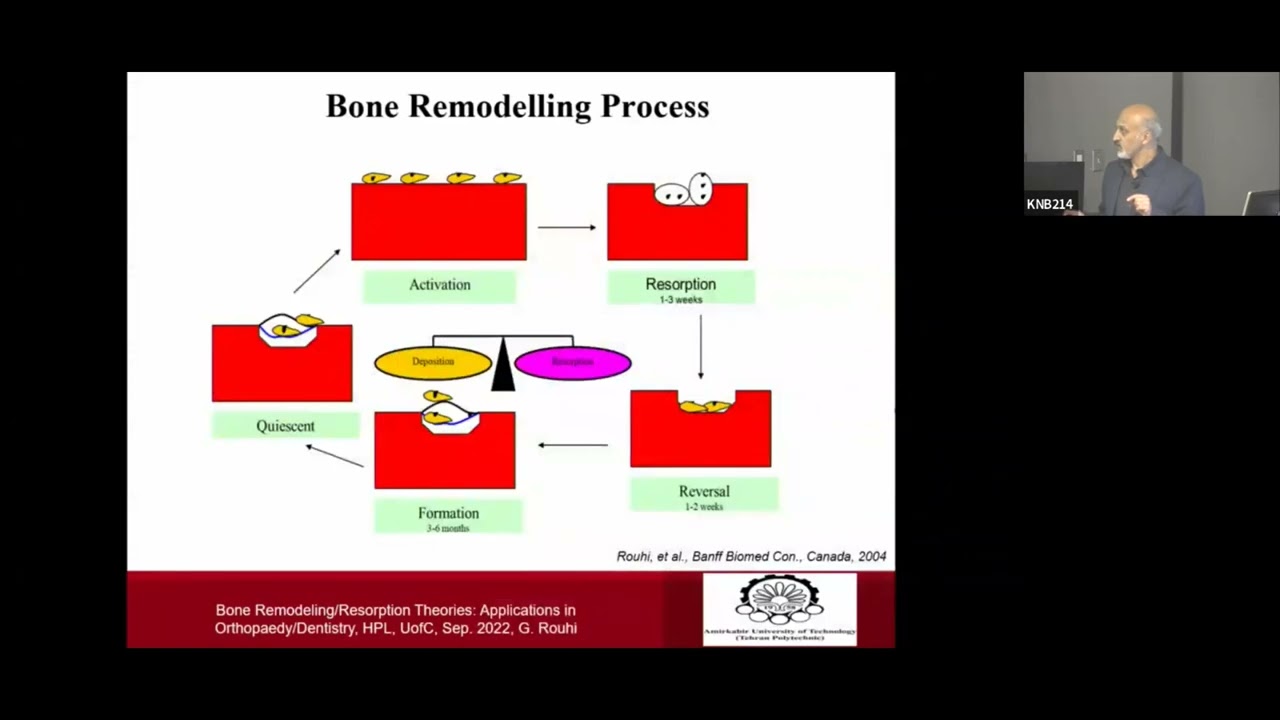 Bone Remodeling Steps