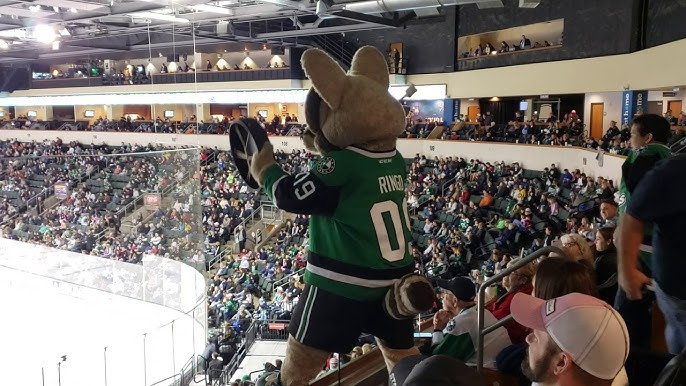 Texas Stars - Asking Ringo to go to a STEM Showcase is