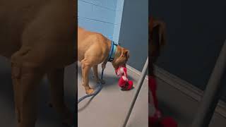 Meet Timestamped Wilma