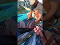 Witness up close the fastest way to cut tuna on the beach #fishcutting #fish #fyp  #seafood